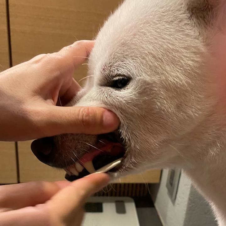 4fa48385 11c1 43d3 a710 0fff2bdbaf91 1630151625538