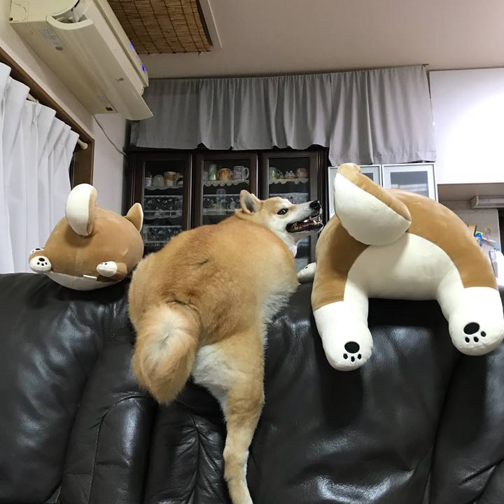 4fa49c38 3510 4eef b10f 9d2ff266baa2 1531139172450