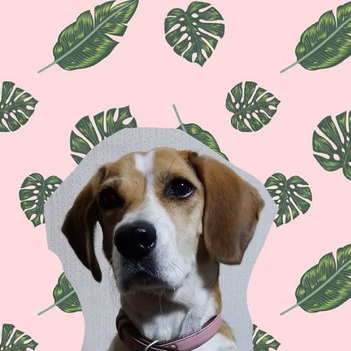 4fa49ec0 9aae 4396 b7e3 342d4b9c8788 1599565423894