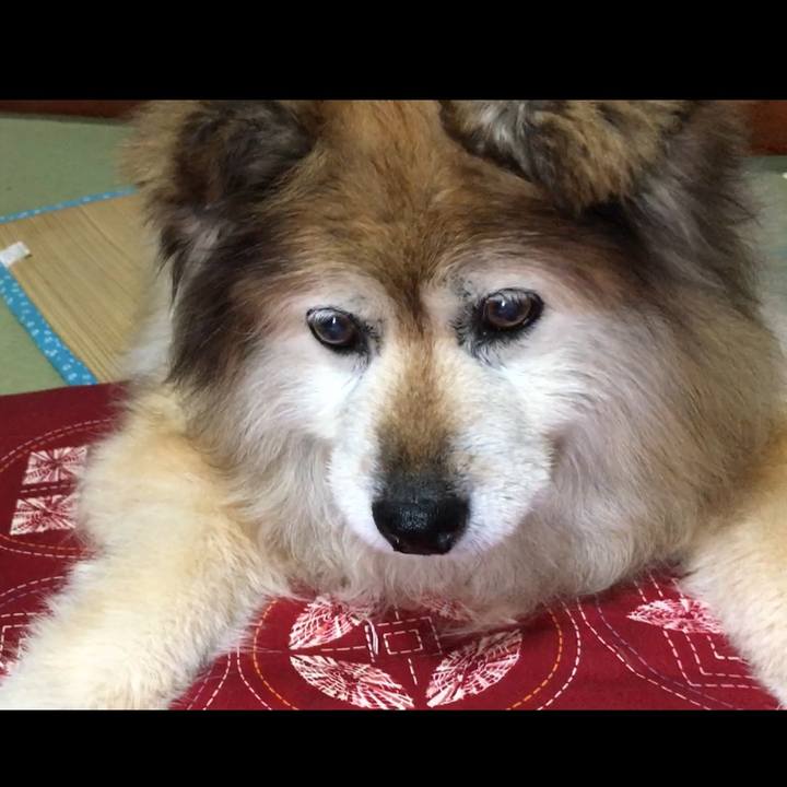 4fa4a43e 3b0c 4681 b8a2 7ff31d171319 1590449074745