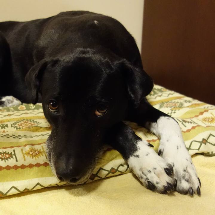 4fa4be61 93f8 4300 99ad e1c46e7f4b71 1679742969173