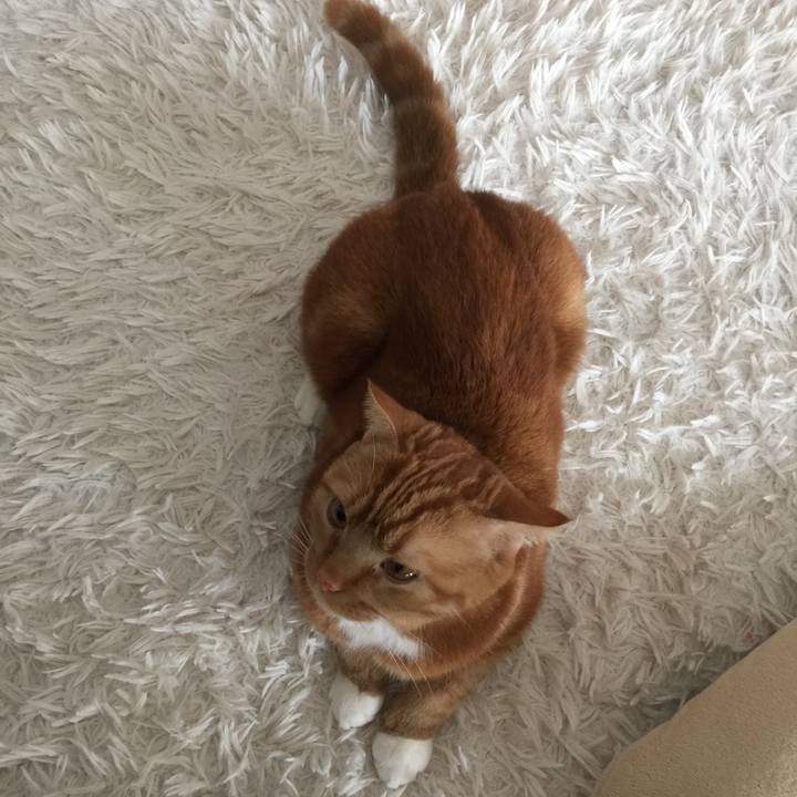 4fa4c274 9d6c 4810 bcc1 7af1a227123d 1578528324080