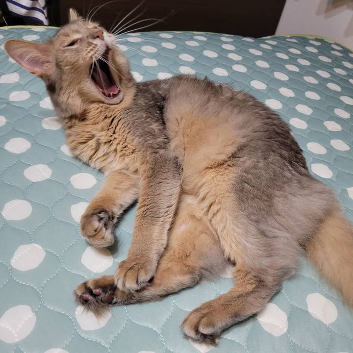 4fa4daa2 3775 4726 a4b1 a6caffc39ca8 1656557398942