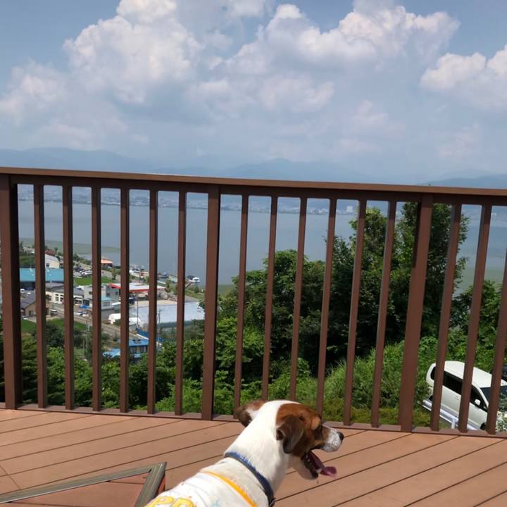 4fa4f918 09f1 44ed bc8a 9ca3aef1675d 1564717460894