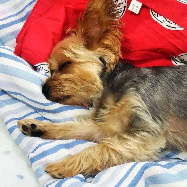 4fa50360 5588 4c30 8fae baf4cd8b832e 1630232461267