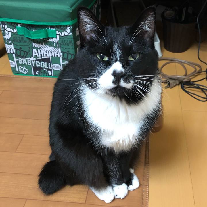 4fa5120d bfaf 40fb 9768 56a6f161522d 1579059921470