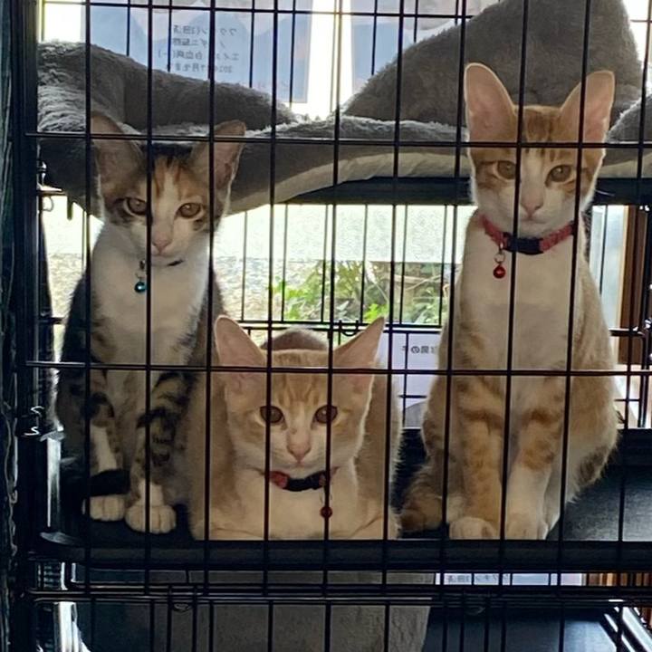 4fa5228e fa4d 460d 82d0 4e5034a22775 1728460965753