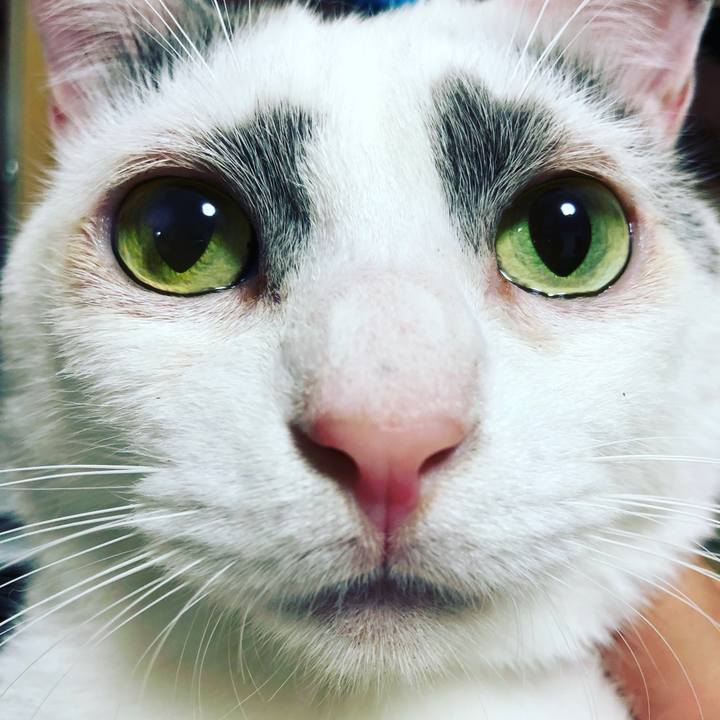 4fa54c6f 26eb 4936 9134 ce8a7c6784c6 1522145907434