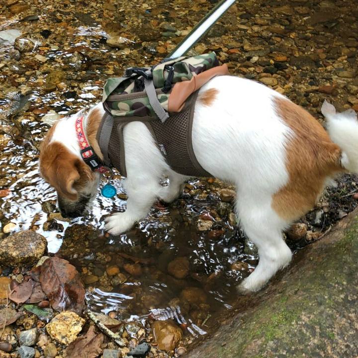 4fa54d43 84d8 4789 ae72 eb70b23acc92 1539697329028