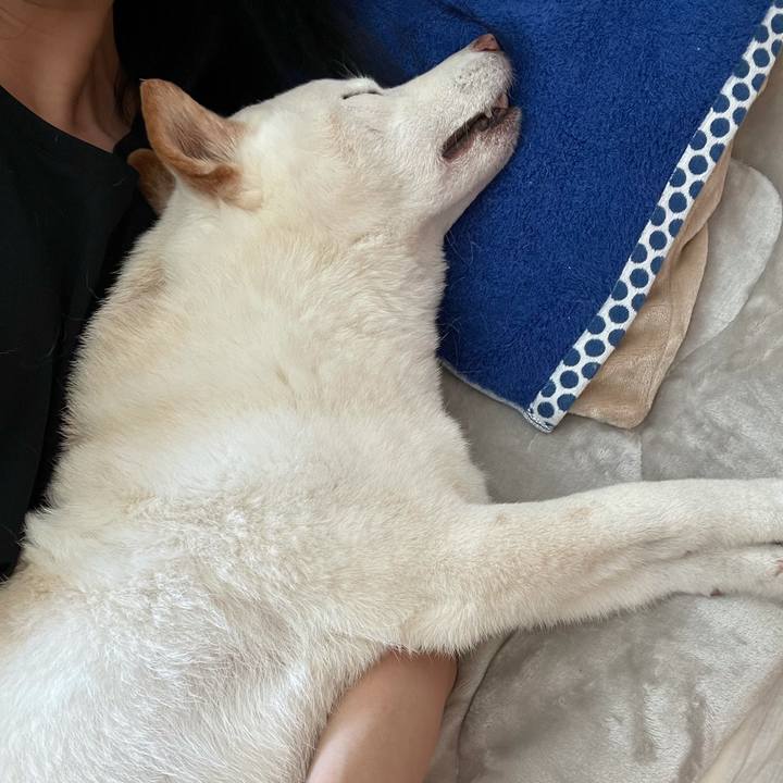 4fa55482 331e 46a6 94e5 83c46b7e3122 1635730720195