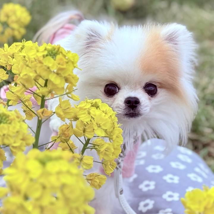 4fa5b2f1 0854 420b b2da 980b8eb6e2f4 1773150953749