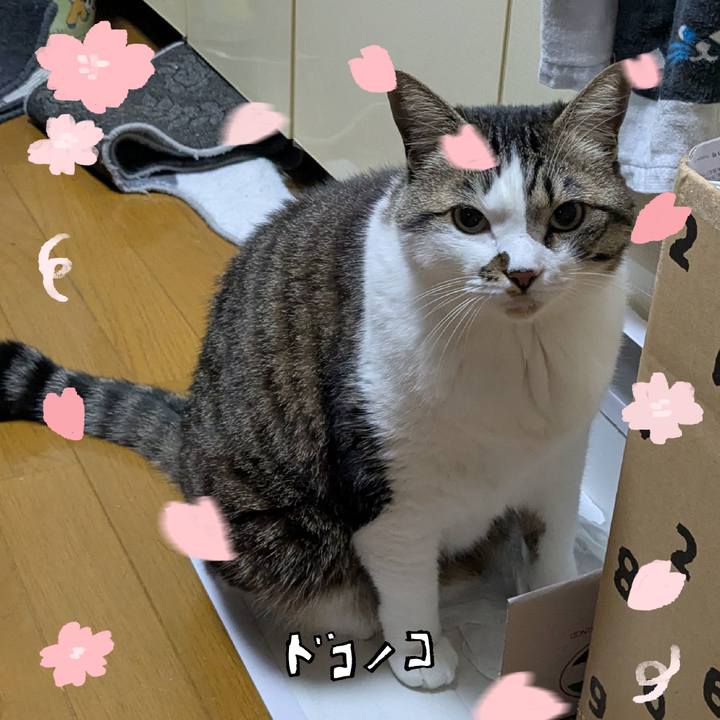 4fa5bb2e f32a 424f a82f cc6dd74077e1 1744549397556