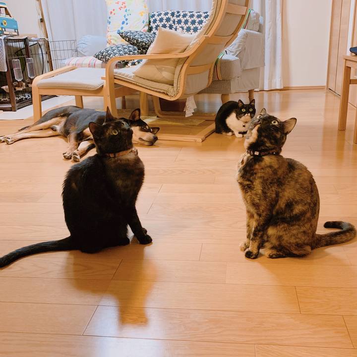 4fa5c157 ec0e 439b 903b 2e45c398818e 1554863460194