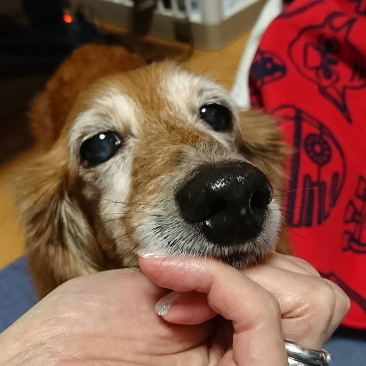 4fa5e605 6720 4a71 a2d7 b5c5dd926073 1512206082066