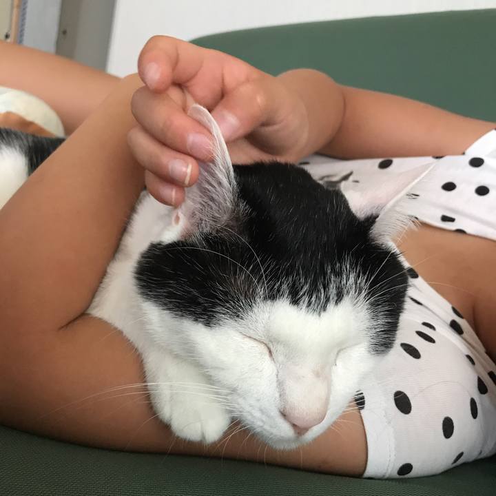 4fa5f0e6 f76c 4986 a258 bd460b400a57 1532936557778