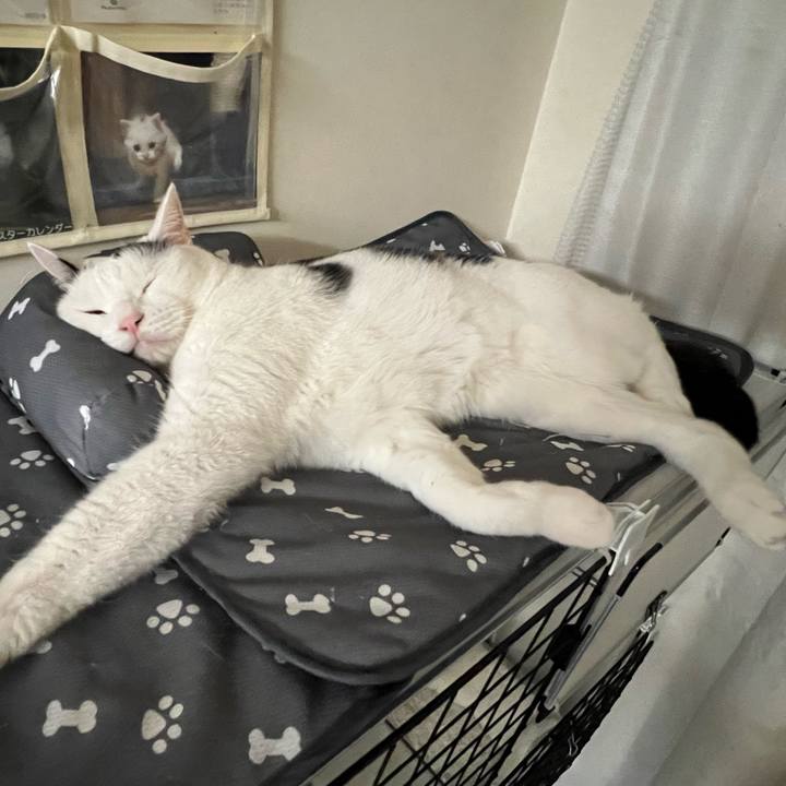 4fa618fc 3570 4623 9431 01c56e344068 1697762433559