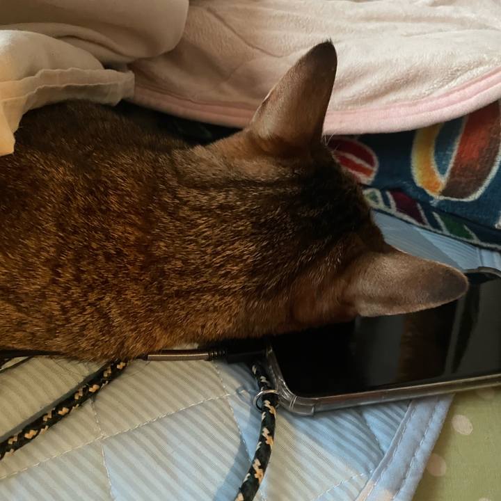 4fa61cf5 0721 48c1 999d a1af3aa5b0b3 1671250346425