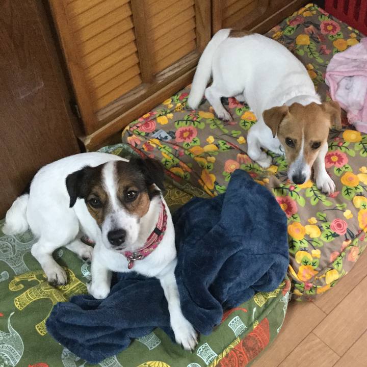 4fa635d5 72a6 42c6 8304 317a004ef4e0 1527635119622