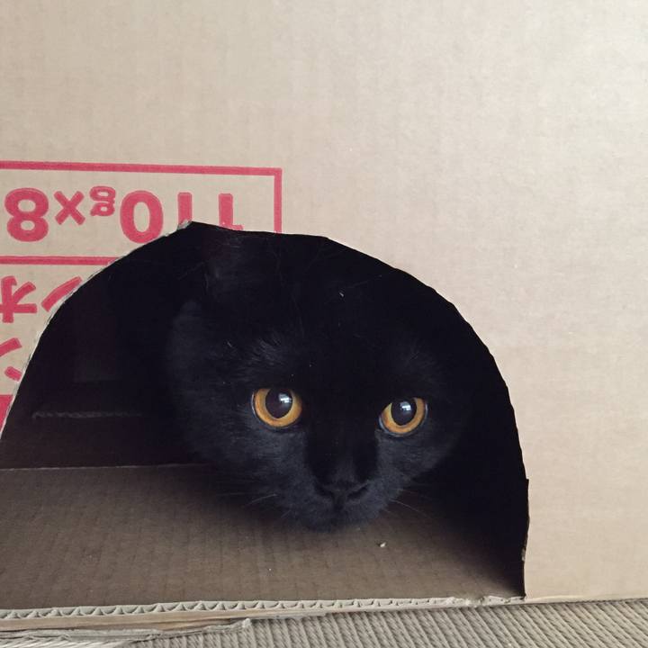 4fa67445 055b 4311 ab2c d4520e62e674 1533506816565