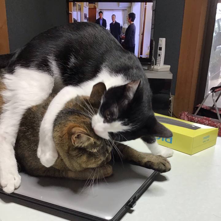 4fa70f8e 0a2a 49ea 8573 aba9a4b96d44 1629788896843