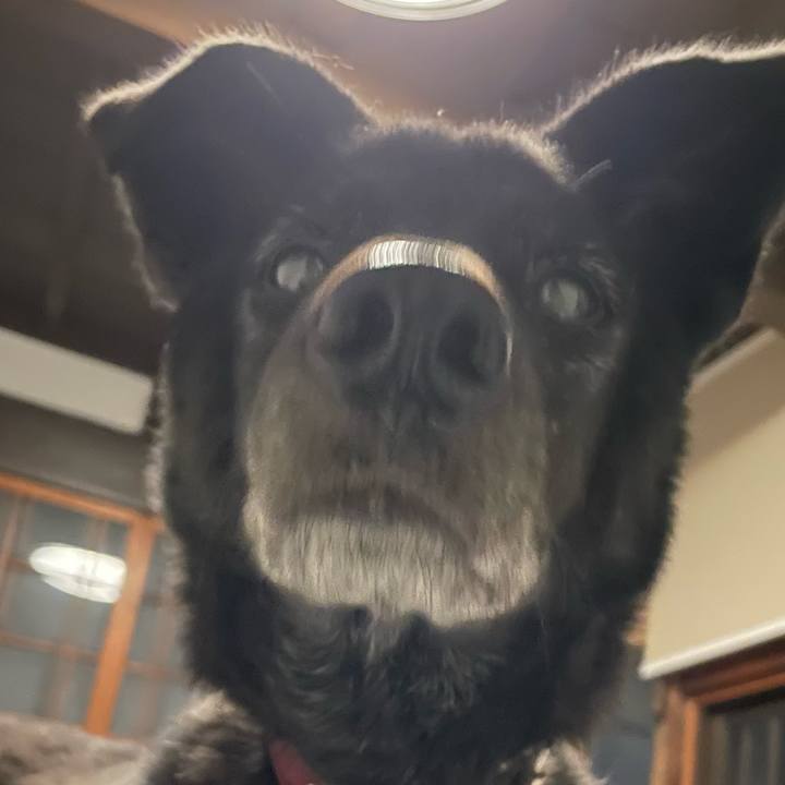 4fa71862 dfde 47a5 9013 c5af2a44e85c 1666459423852