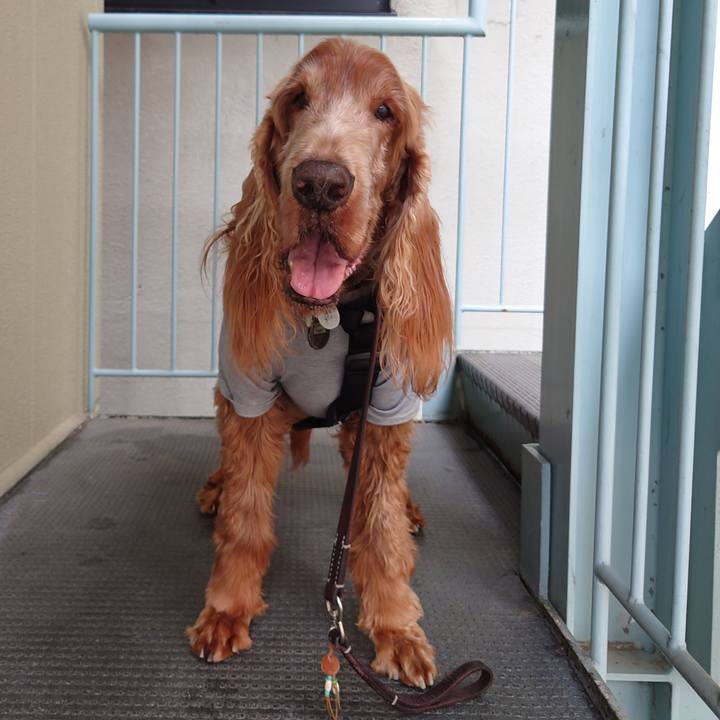 4fa71ab3 caa1 4c0a b802 a34df2754174 1712214601239