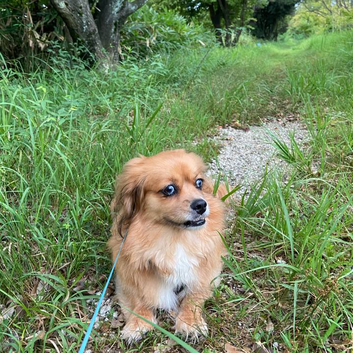 4fa739d8 835b 41a6 aca3 9d0cb8bebeb3 1598476562513