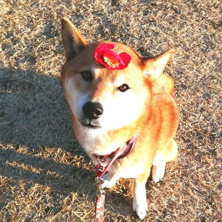 4fa74d6e a64c 4b69 8f49 16fc380ecd80 1644652992632