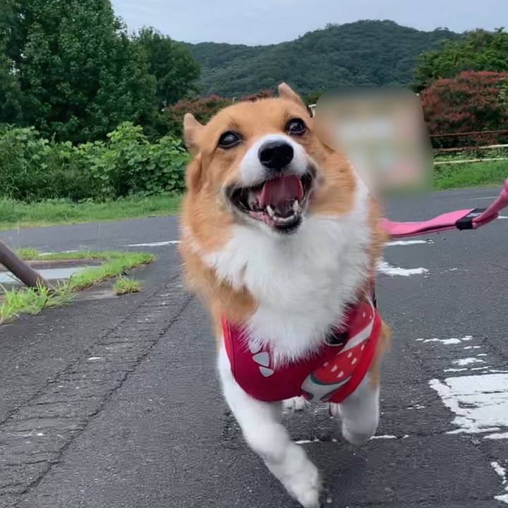 4fa74d83 272c 41a3 b307 3417436c75c2 1661388771892