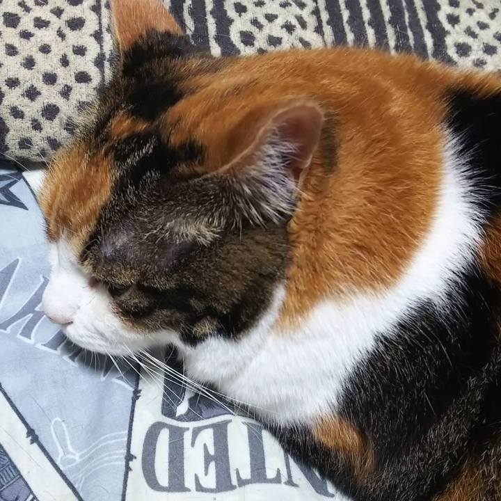 4fa795f0 10fa 4a3e ac3d 56b39f12fdd5 1569534879687