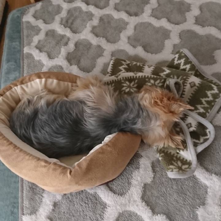 4fa7adc2 9e70 4112 ac8a 345cd4ff87b4 1550845087192