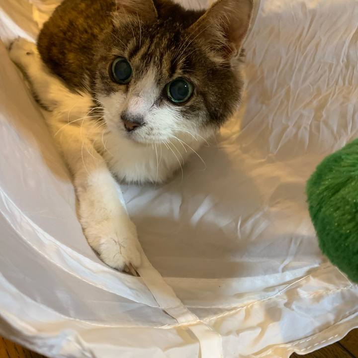 4fa7caac 8934 4e28 a028 2bab0f805de7 1661984695519