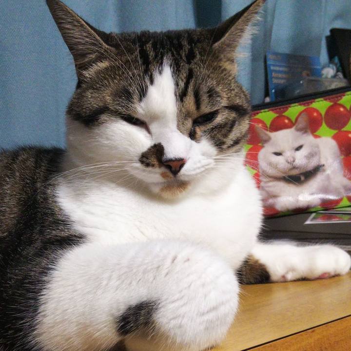 4fa7d8ed 56eb 4cb2 a3bb 94e35cbeba0b 1662597384035