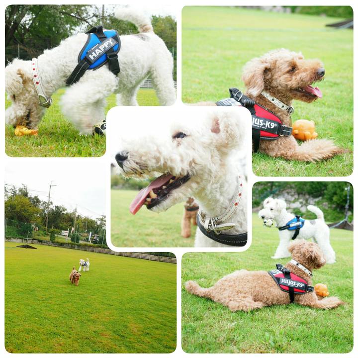 4fa8064a d5b1 455c 9c6b 4f8d0052880b 1536414547907