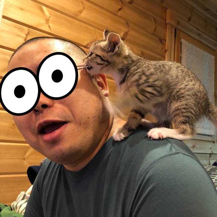 4fa807e2 637b 408f af10 3b0056897101 1542028828014