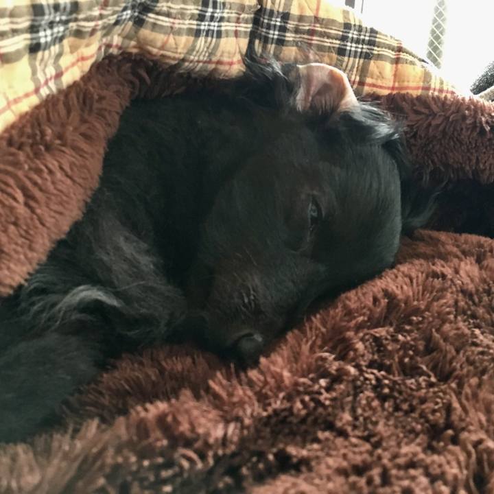 4fa832b6 bfcf 47ef b8cb a7f5a2fae11a 1518390273177