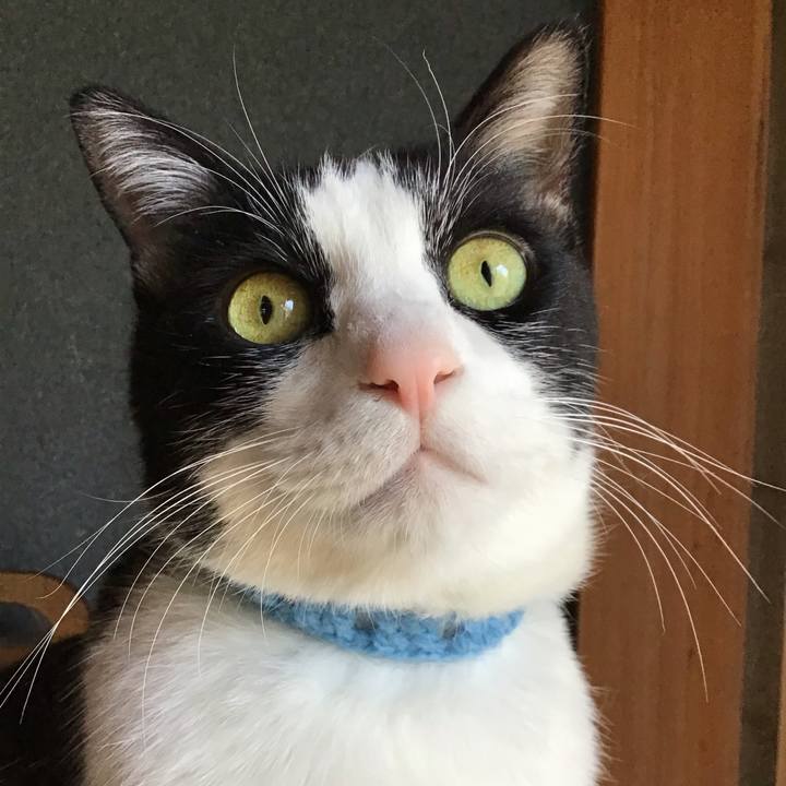 4fa87835 aefb 4ff8 83d0 3cd6569fa90c 1738292748911