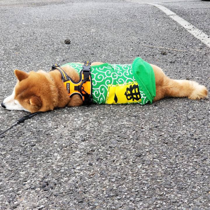 4fa8ad36 f4b8 4aa8 9ee8 0d262c93d220 1584078319365