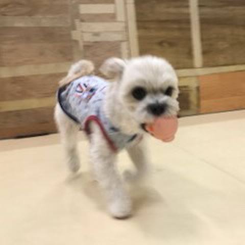 4fa8d1a6 4122 4951 b547 cf1f2f8dbc67 1511957477517