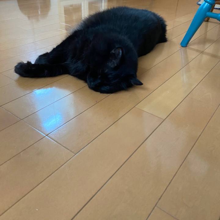 4fa8f19f d266 472f 948a 8724634a5514 1595379121431