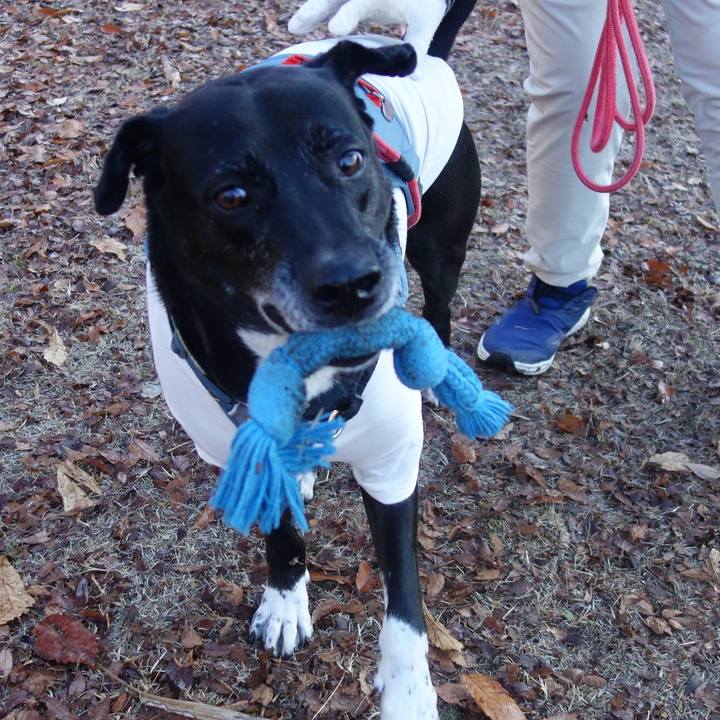 4fa8fb43 9cf5 493f b447 8655b4a18254 1704587678957