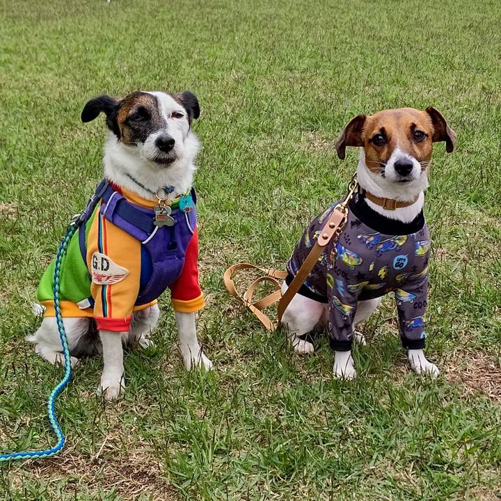 4fa9421f 94c8 41eb a1a3 828961d9ea9e 1652604899965