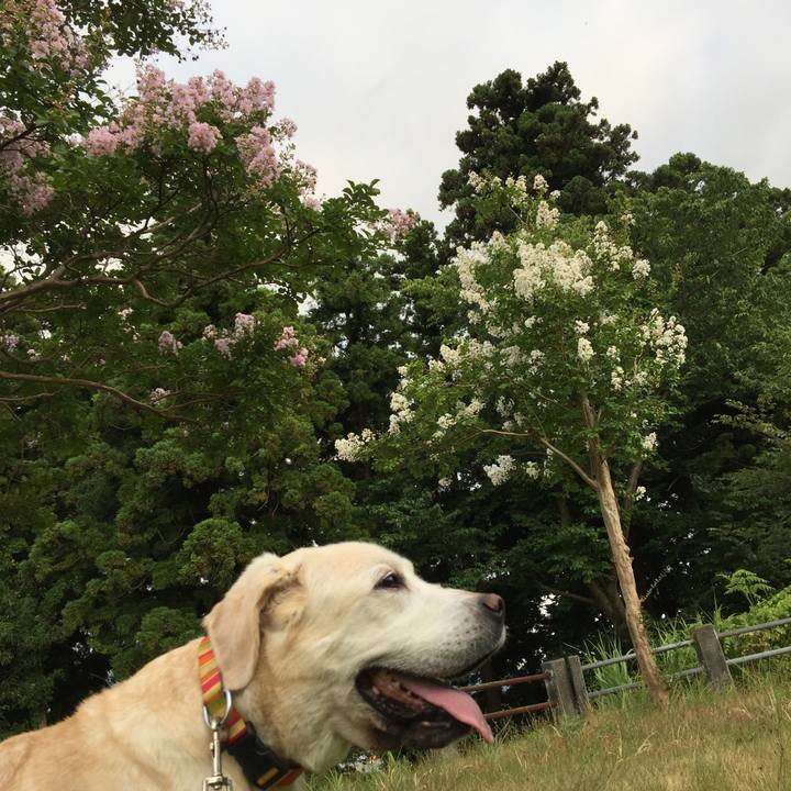 4fa969a4 13bb 401a 8d41 c0d707cc8db9 1533634298887