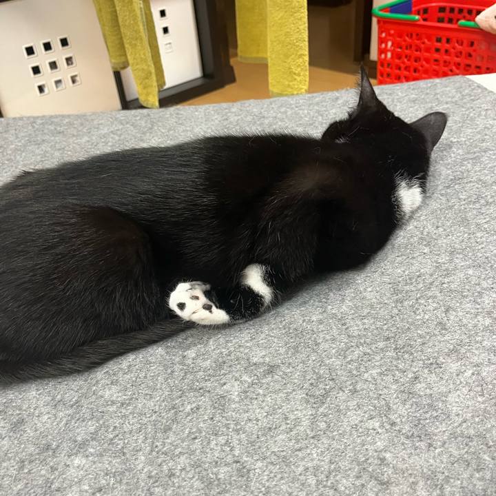 4fa96ea0 24a5 42fb a86c 13a671439c2e 1713942005364