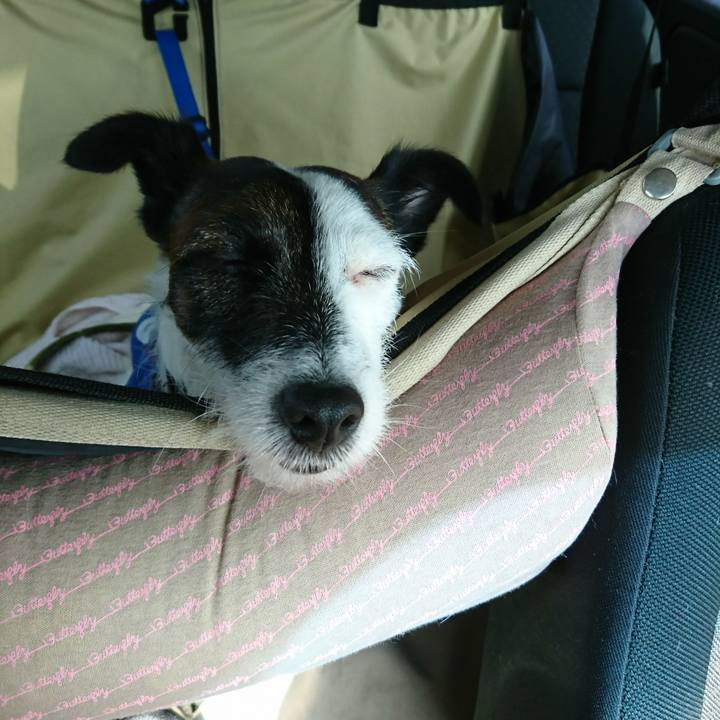 4fa9796b d402 4b32 acd1 bcecf13d6f31 1509755042635