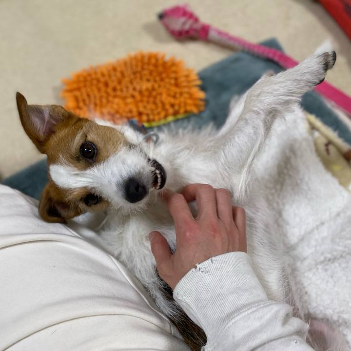 4fa983ea 36c5 4d85 807d 00479a050178 1744814767185