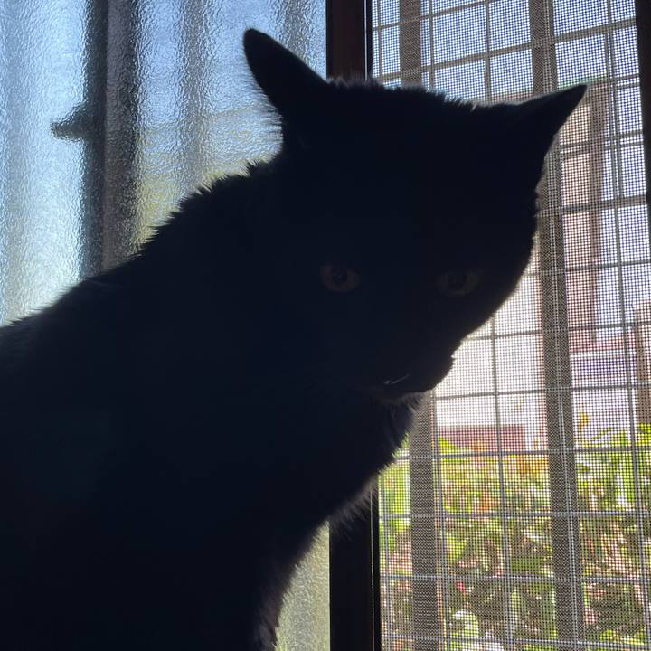 4fa9840f d7fb 4126 8fc5 78354006ec2a 1651024900562