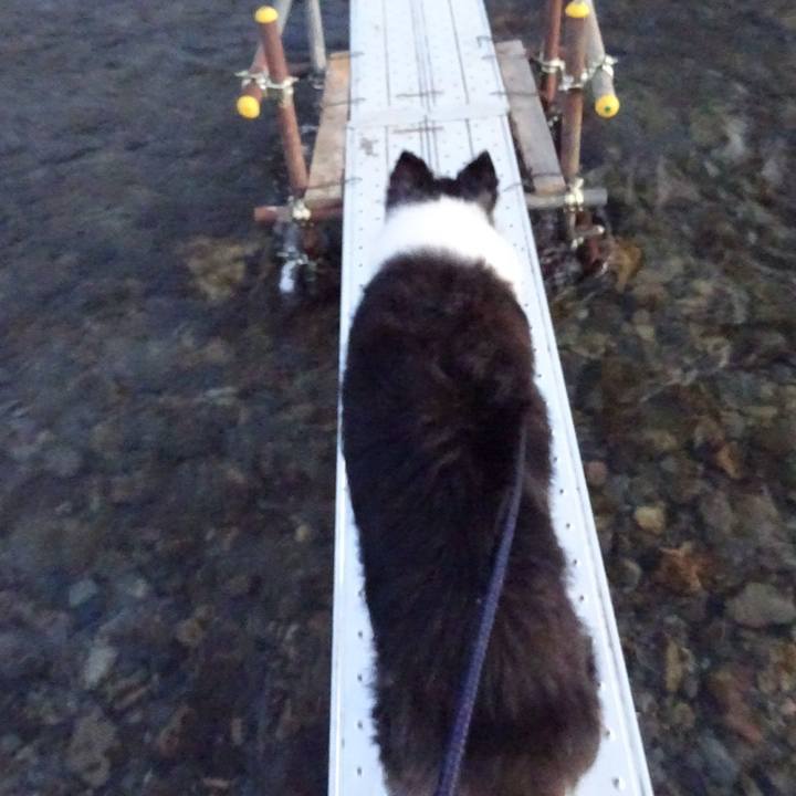 4fa99a1f e502 4358 acb8 64a382e28653 1574168237821