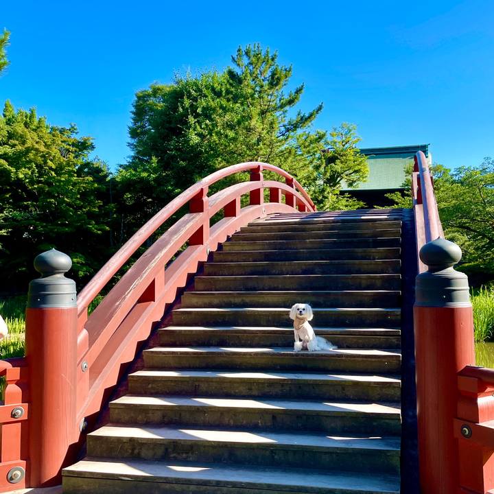 4fa9d35e 6543 4aa4 9818 4c577a09c6b0 1626519316437