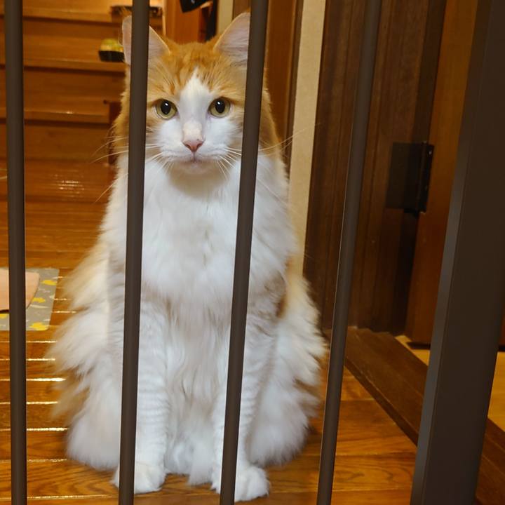 4fa9d7fd 5a5d 465e 9cda 1b4ab92ca012 1696432204547